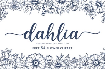 Dahlia Font Design Trends and Creative Uses