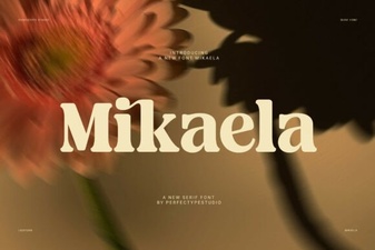 Mikaela Font Design Trends and Creative Uses